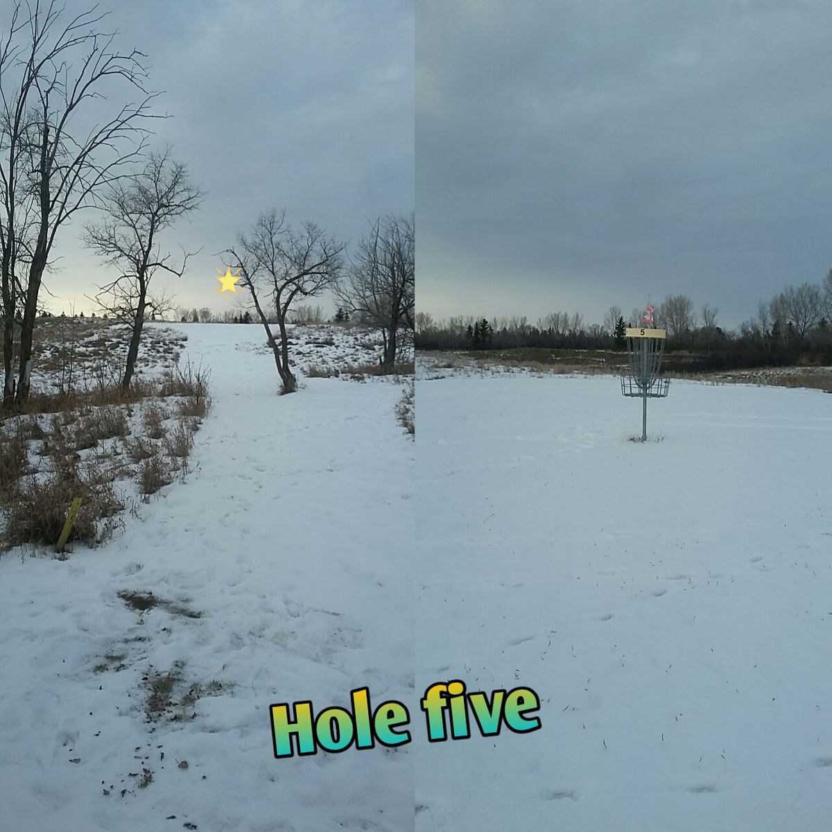 Hole 5 . A lot of different lines just watch out for the trees.