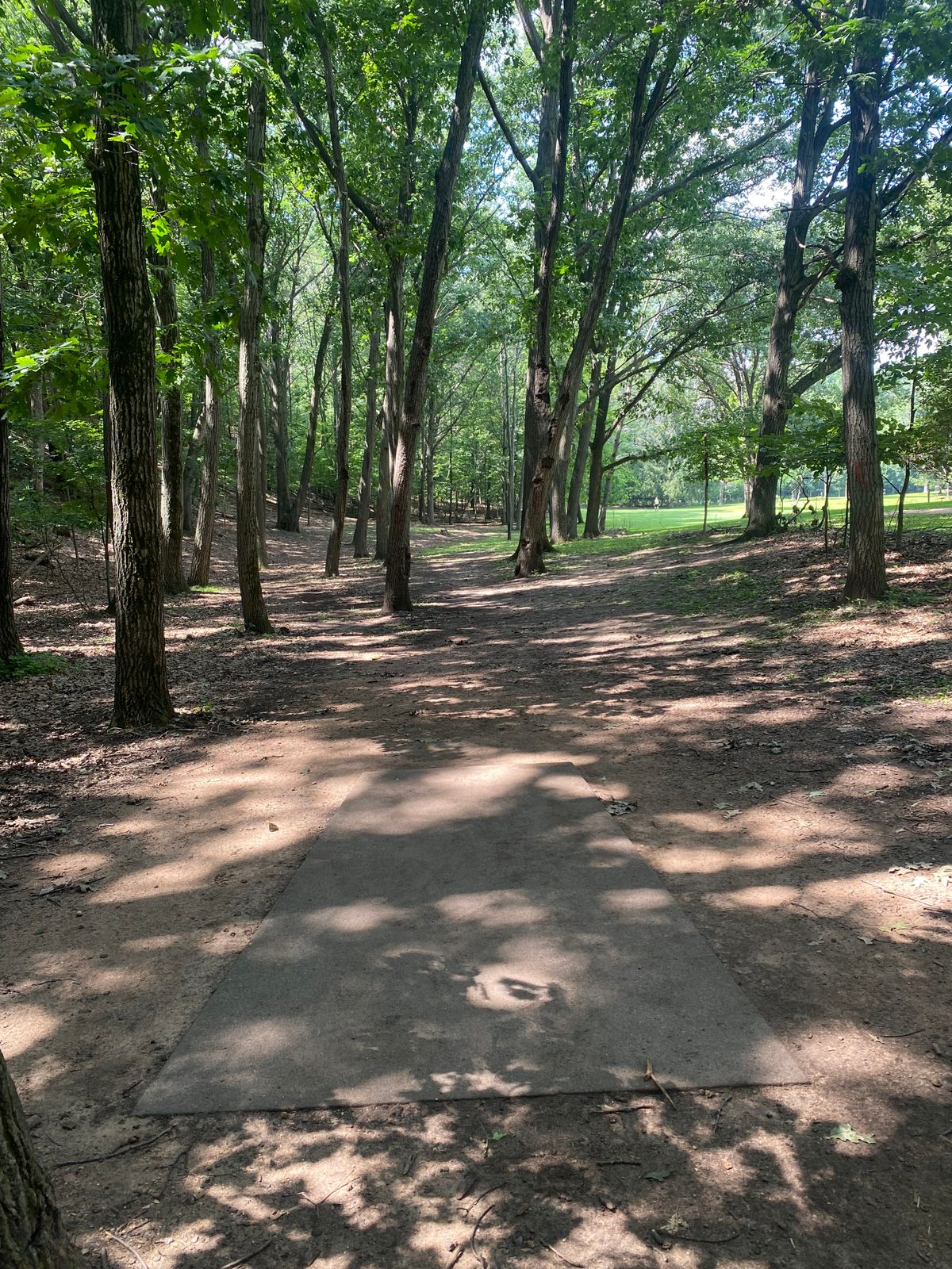 Most difficult through or around trees. It’s a tree sho