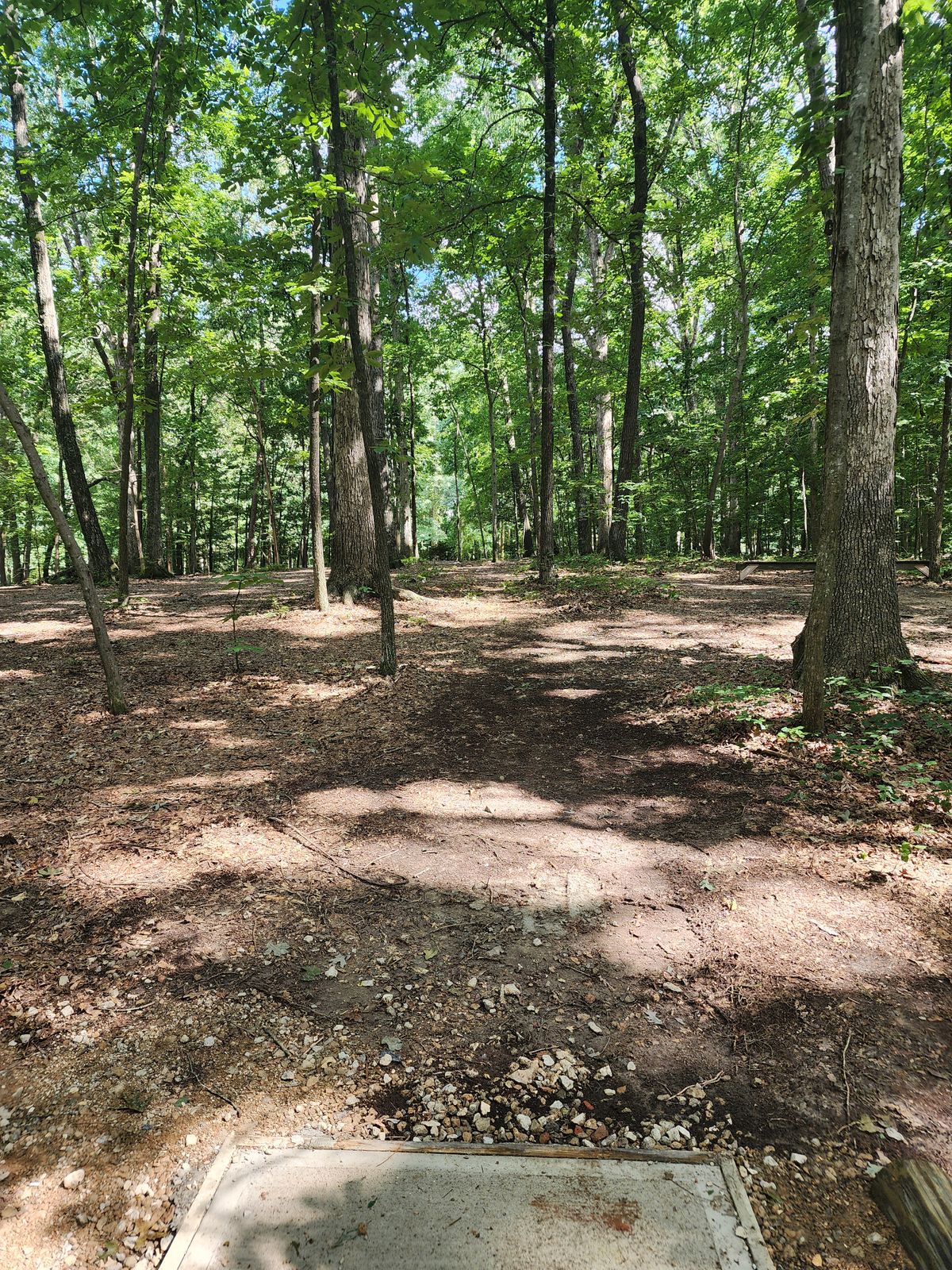 Hole 13 tee