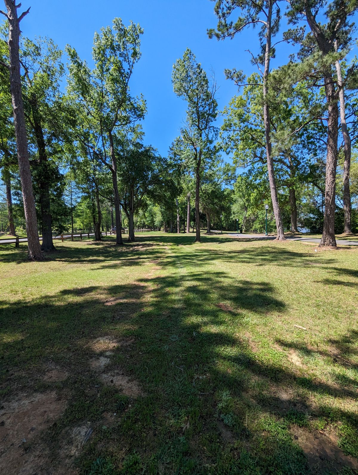 Hole 5 Fairway