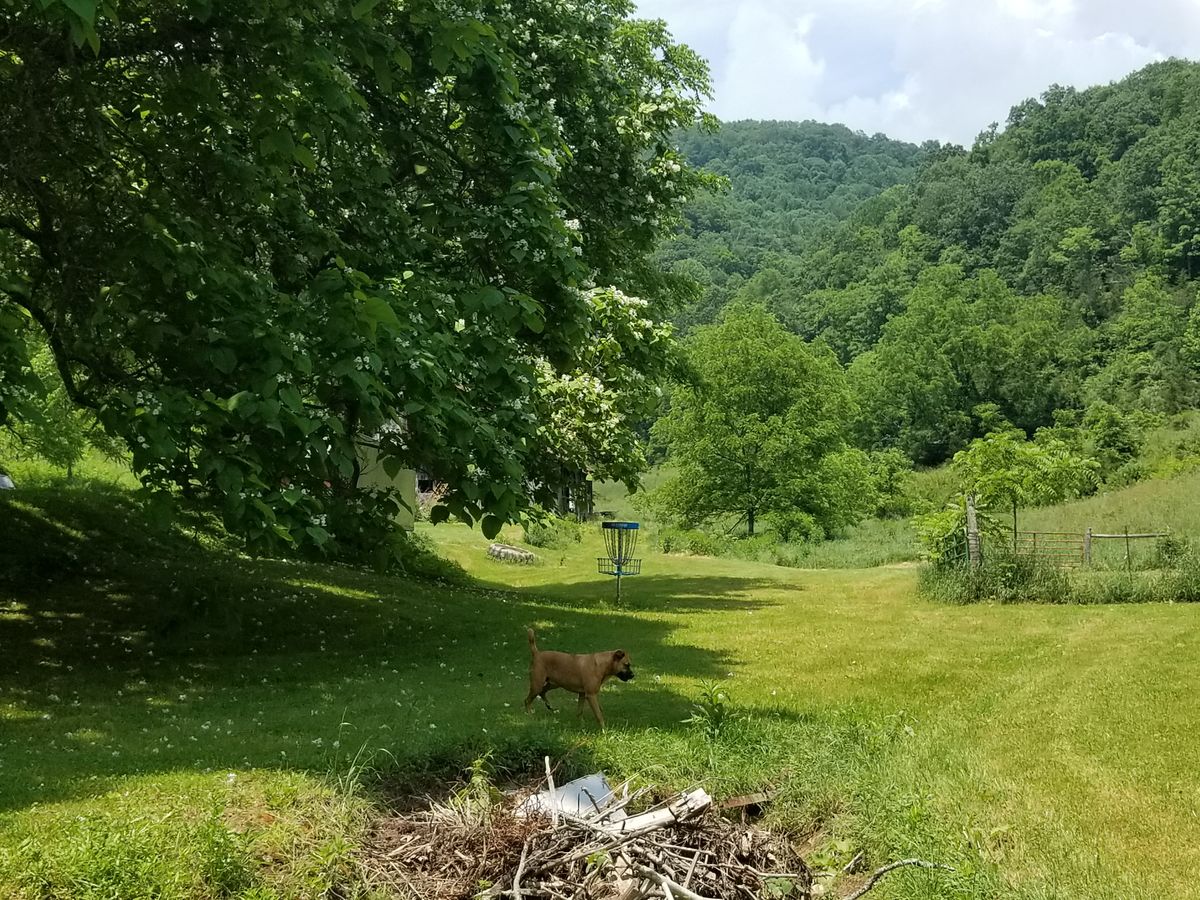 Hole 18 basket
