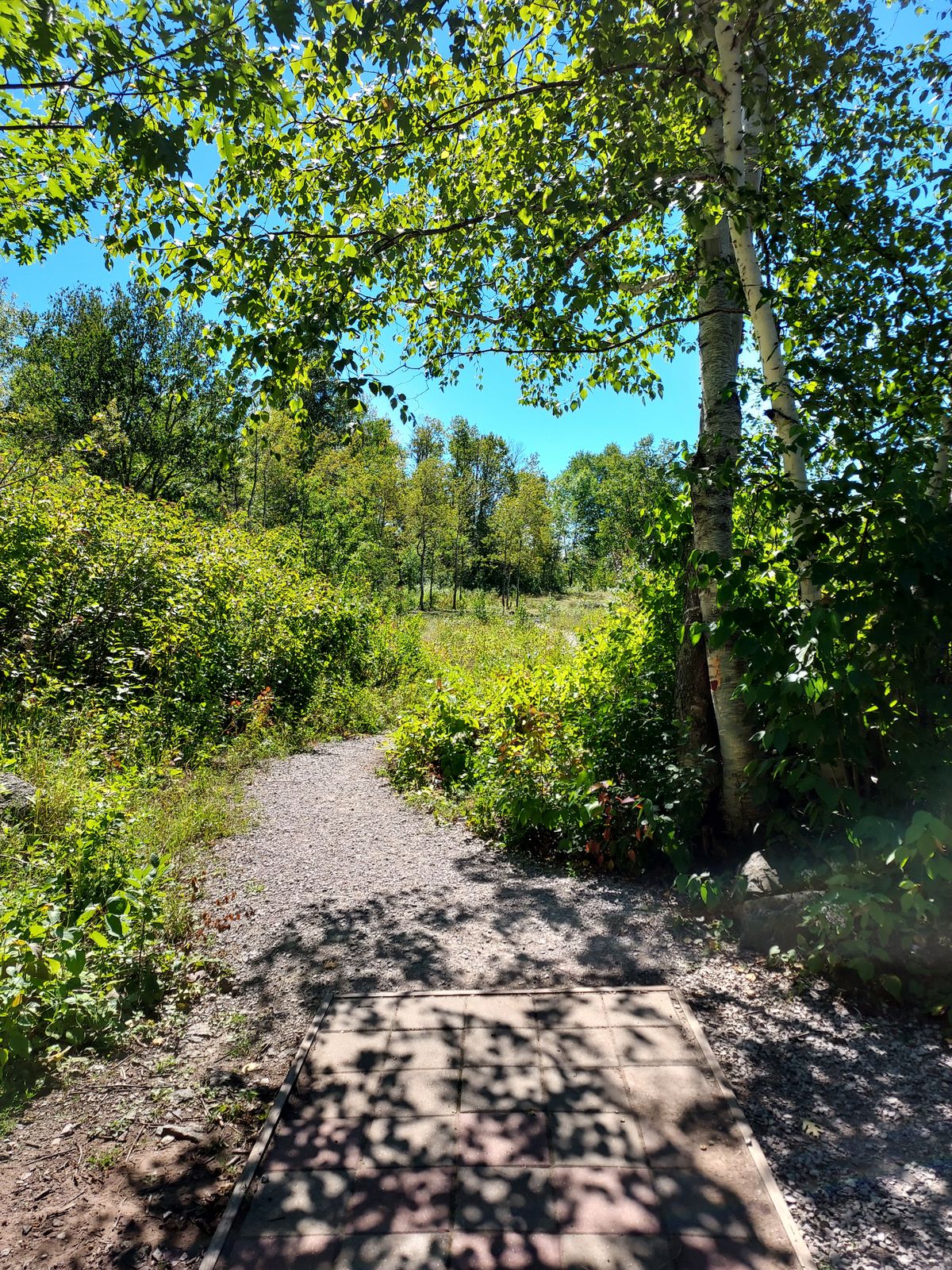 Hole 5 Teepad