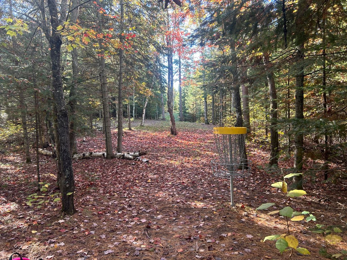 Hole 11 fairway looking back toward tee