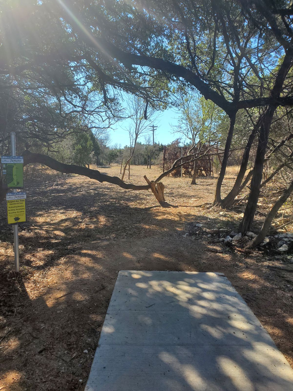 Hole 8