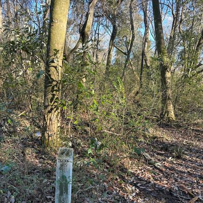 Hole 7 is in the back wooded area, will need to be cleared/refreshed for it to be playable again