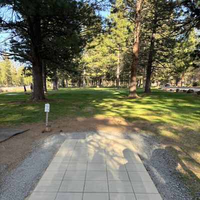 Hole 8 - New Tee Box