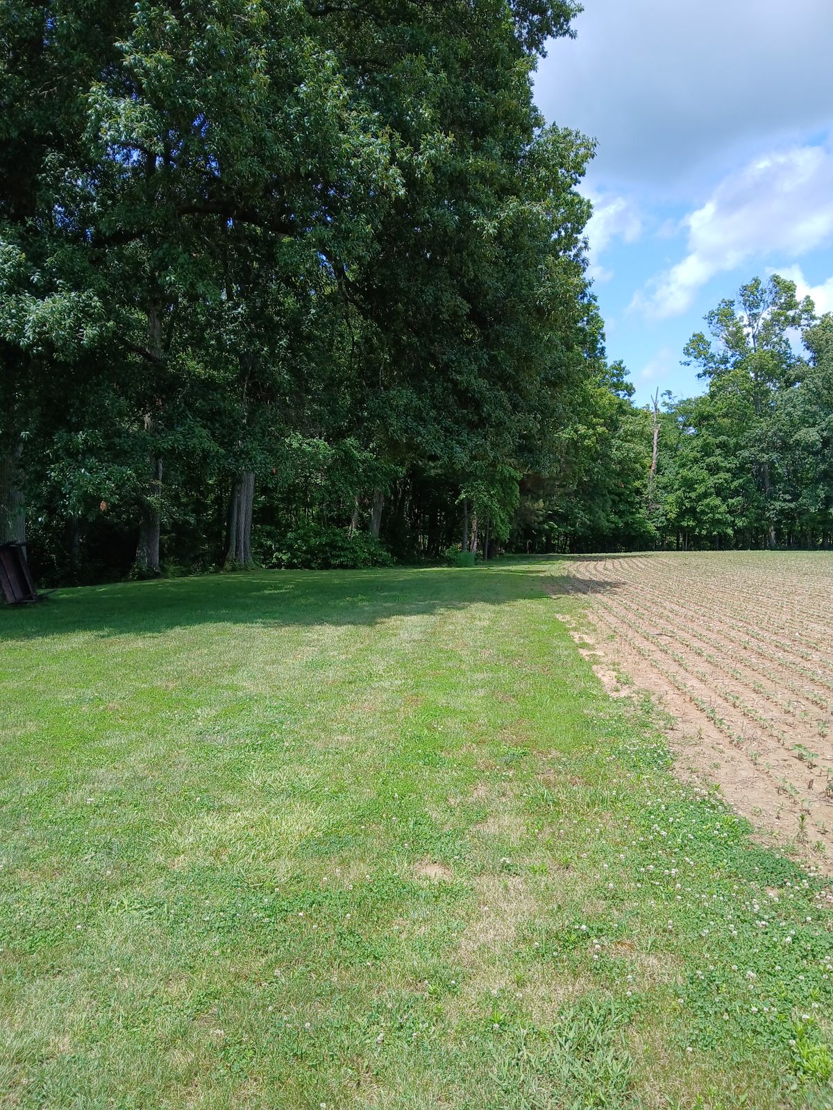 Hole 2 Tee