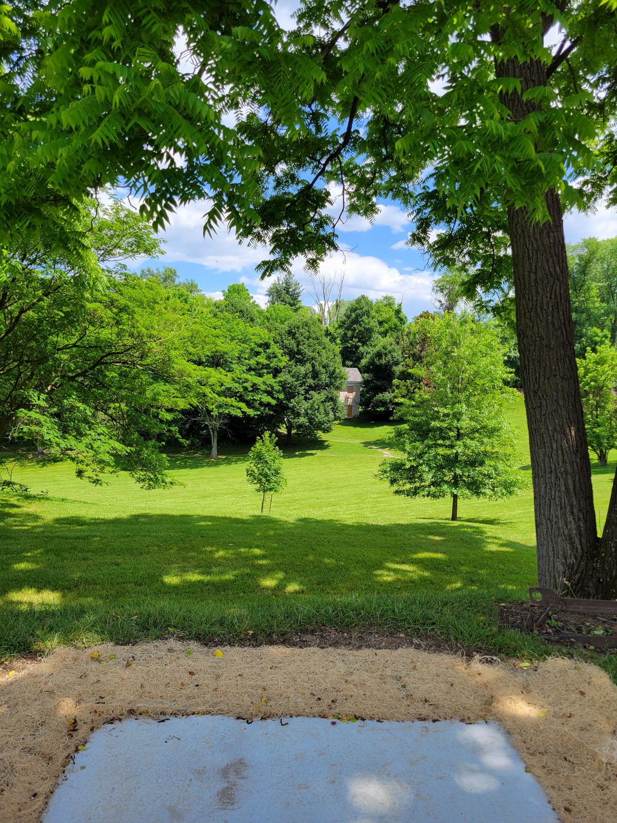 Tee 1