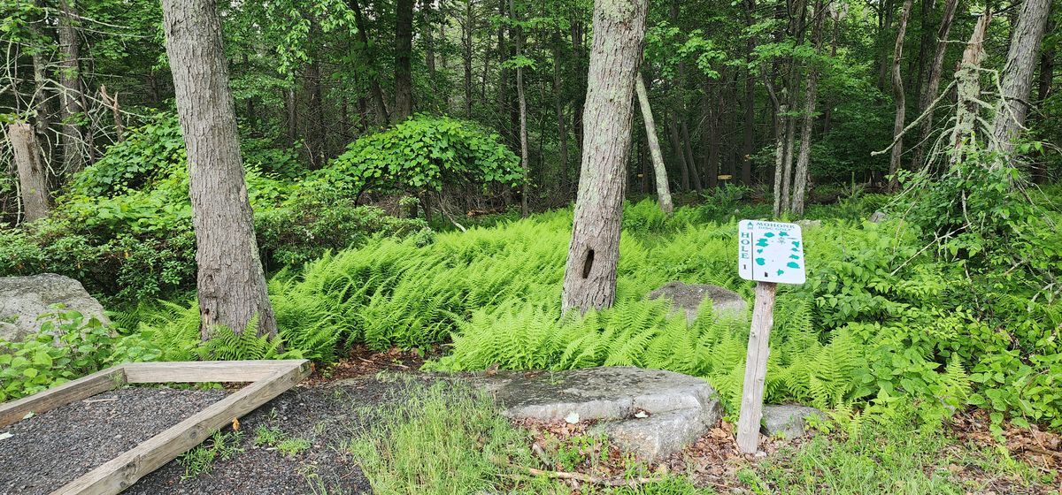 Hole 1