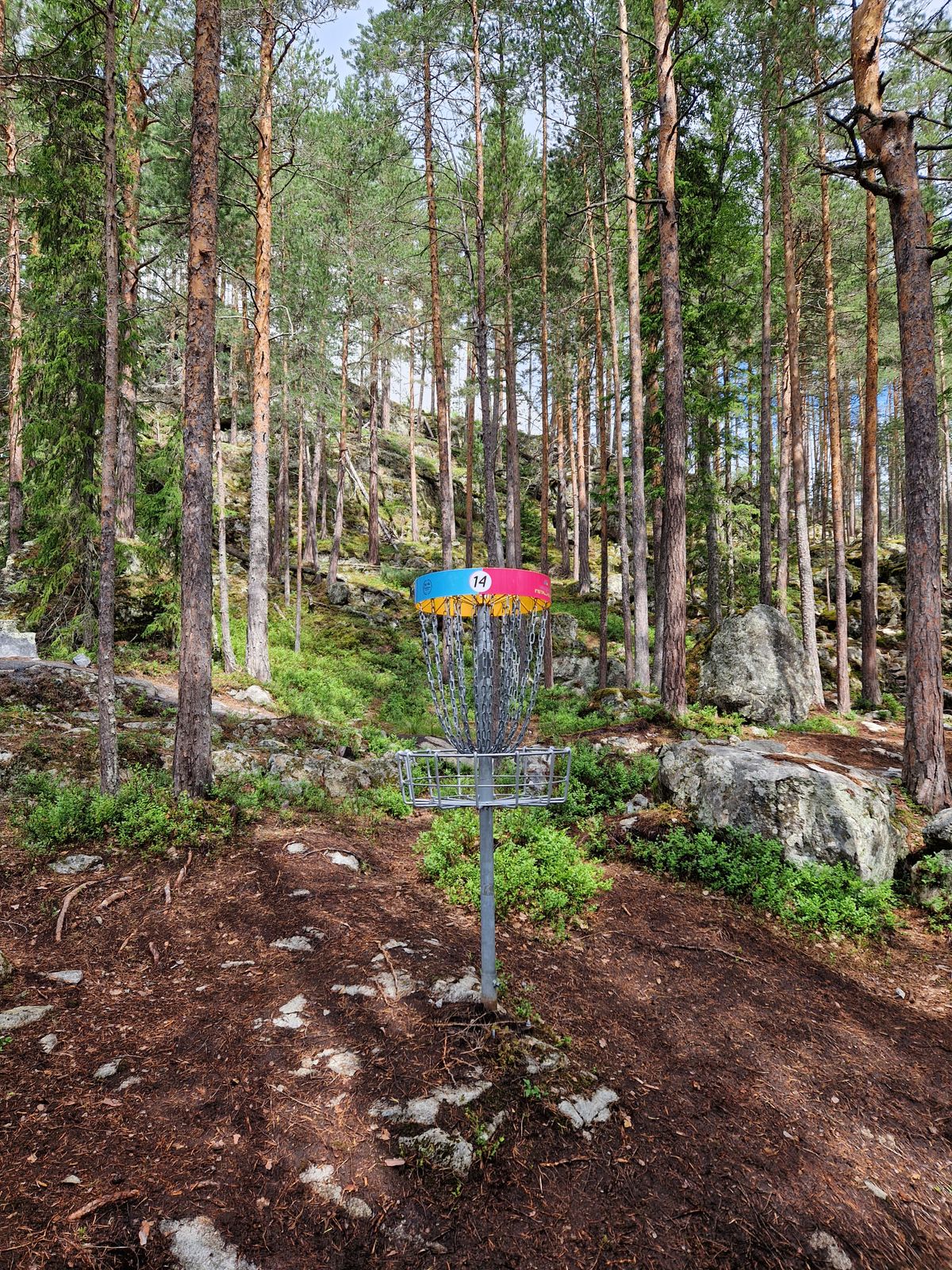 Basket old hole 14, now hole 12. 