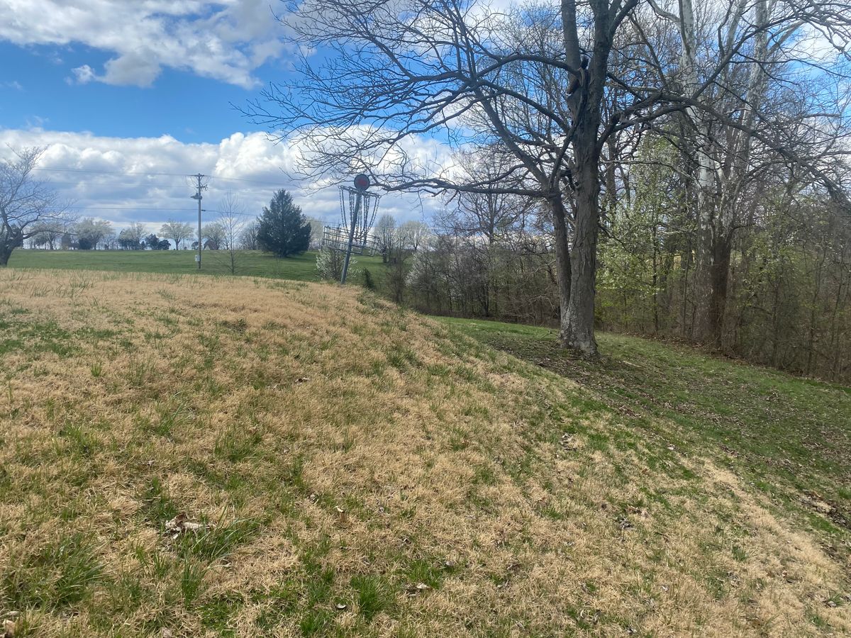 Hole 16 Basket