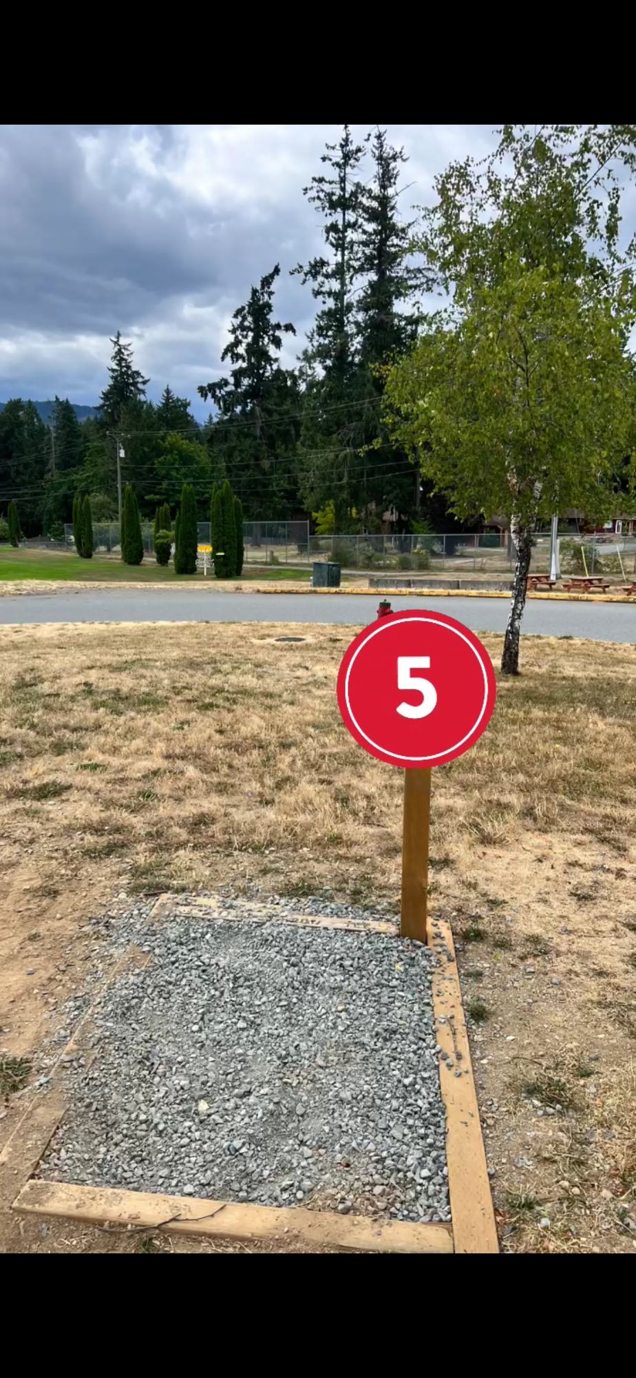 Basket located between the trees by the fence PAR3