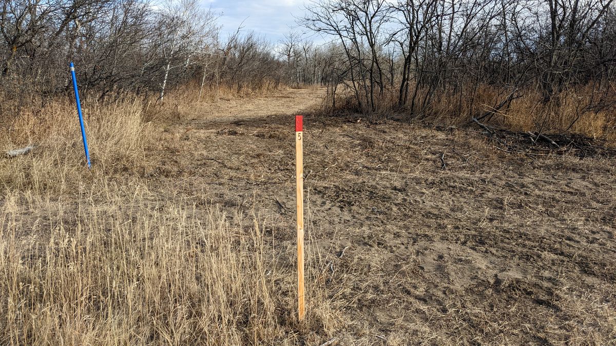 It is often very hard to see where the basket might be. Even with udisc helping.