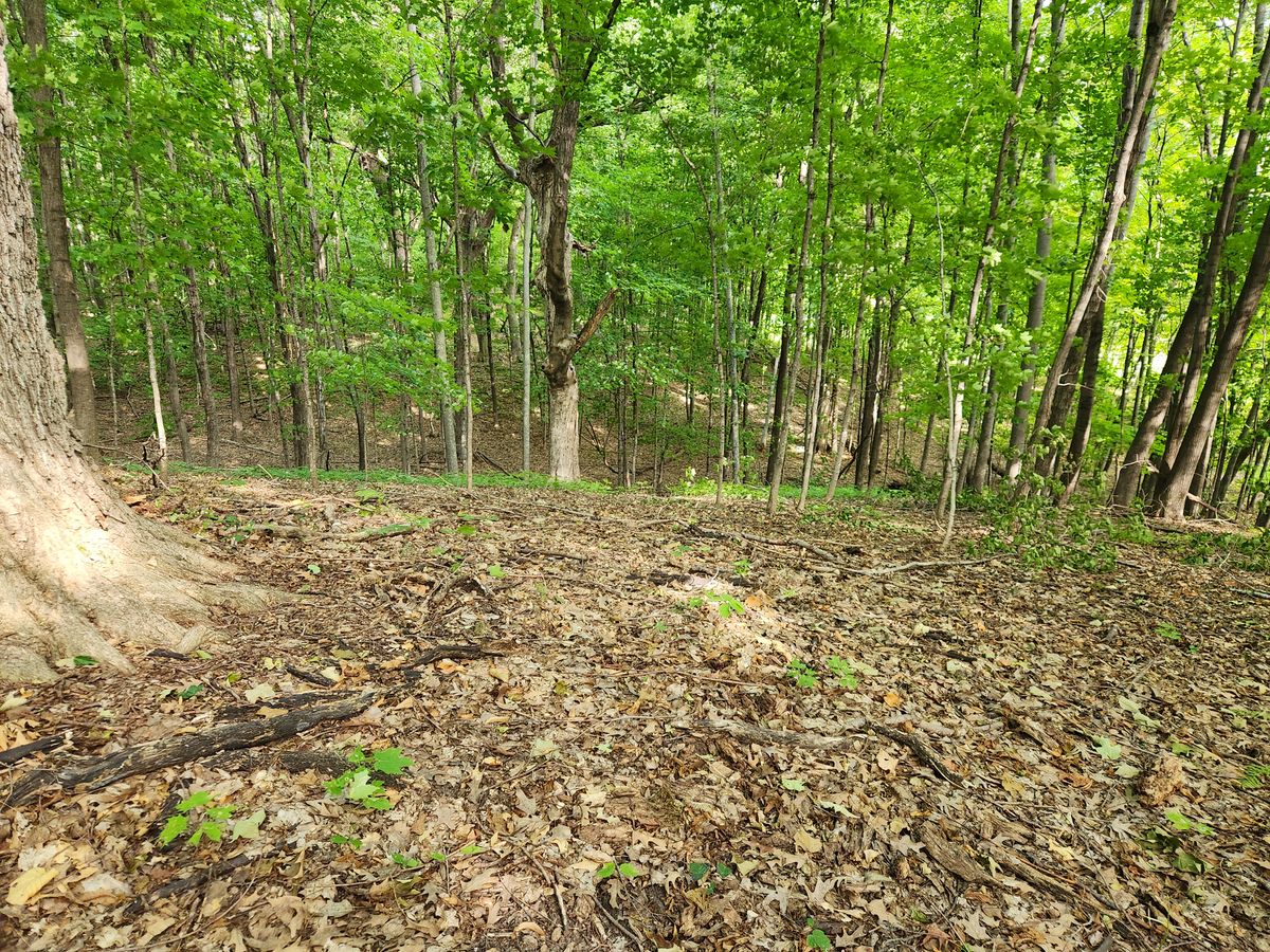 10th fairway over ravine
