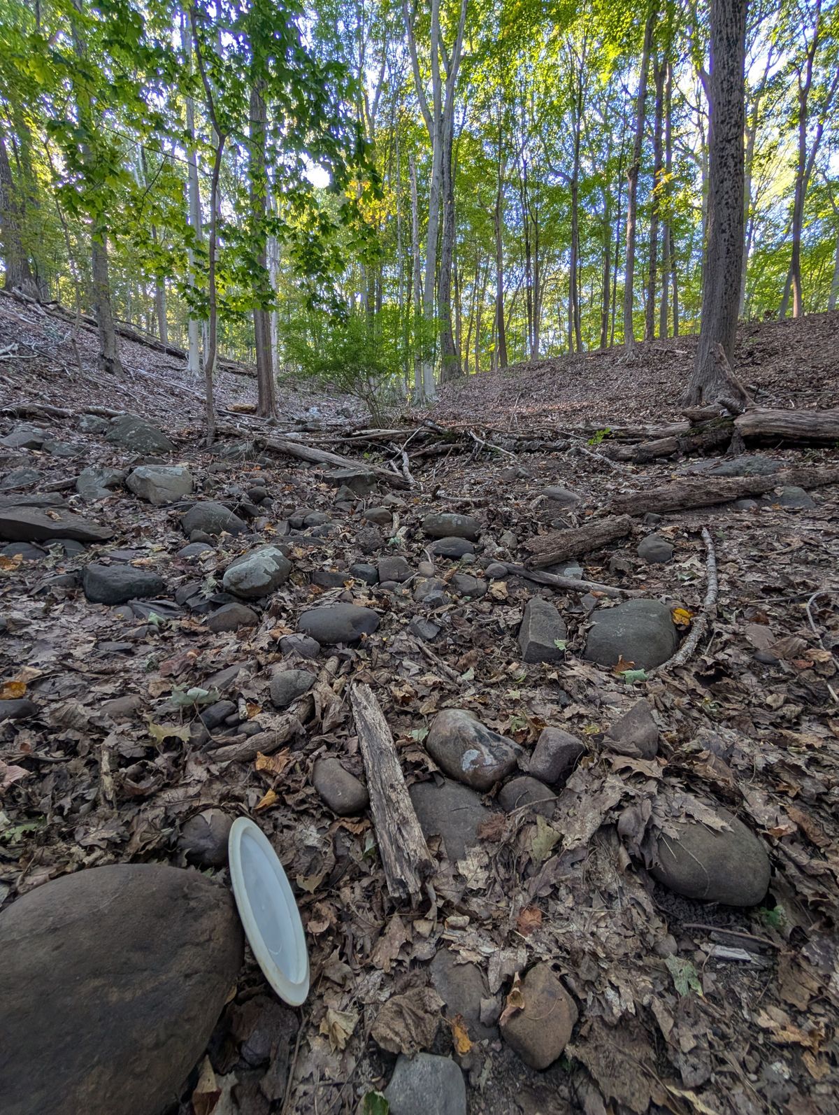 Hole #12, be careful, if you coast and it starts veering right of the basket. Very steep and deep ravine. My disc rolled DEEP, was actually hard to walk out!