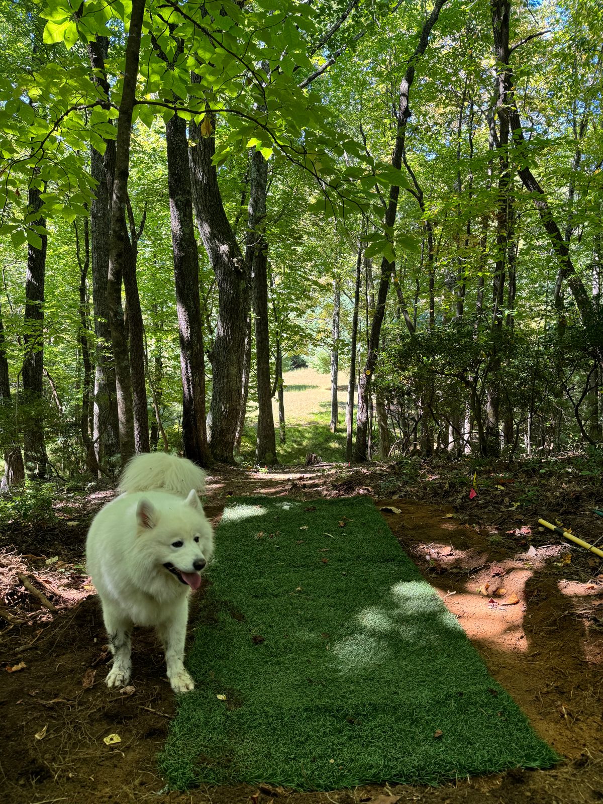 Hole 18 Long Par 5