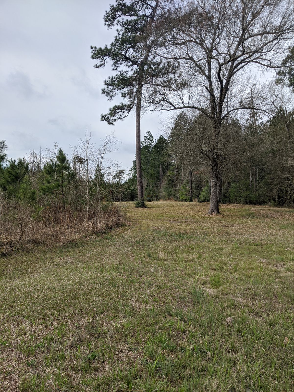 Hole 16 Fairway
