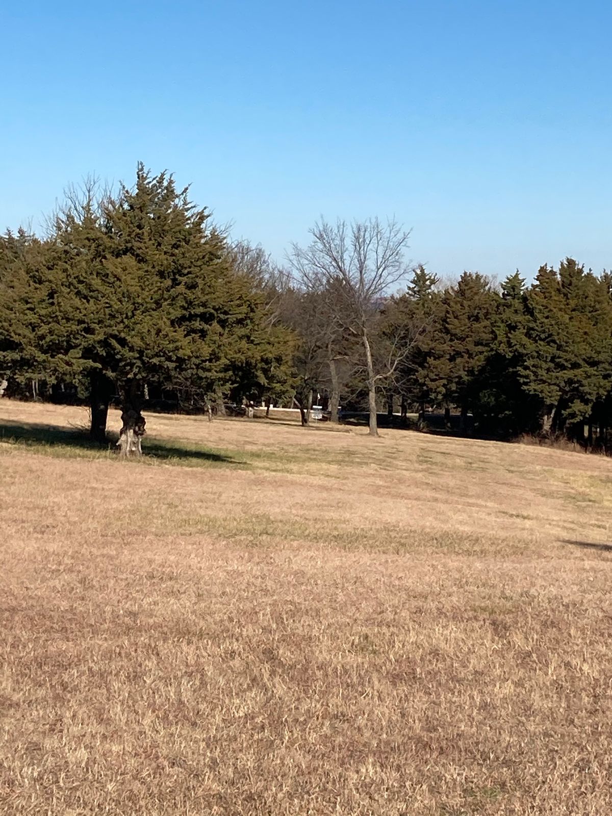 Hole 3 from tee pad