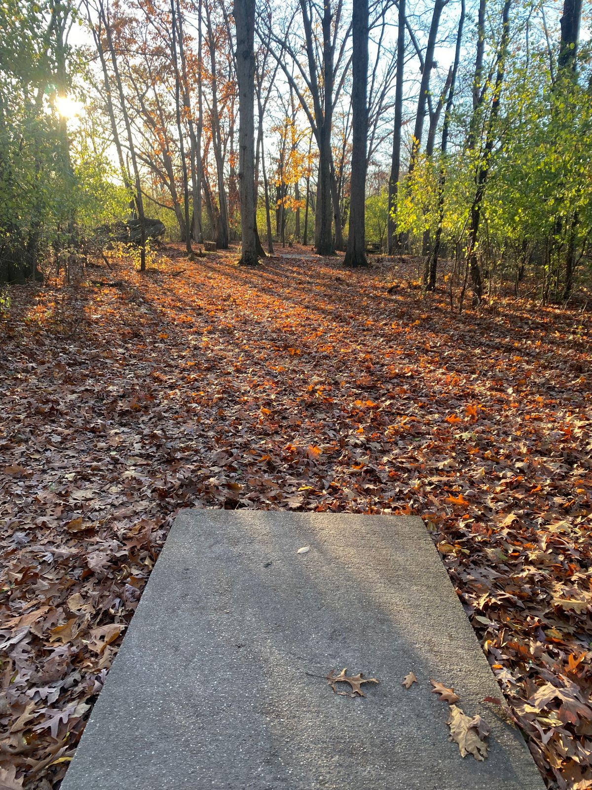 Hole 5 Tee Pad