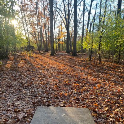 Hole 5 Tee Pad