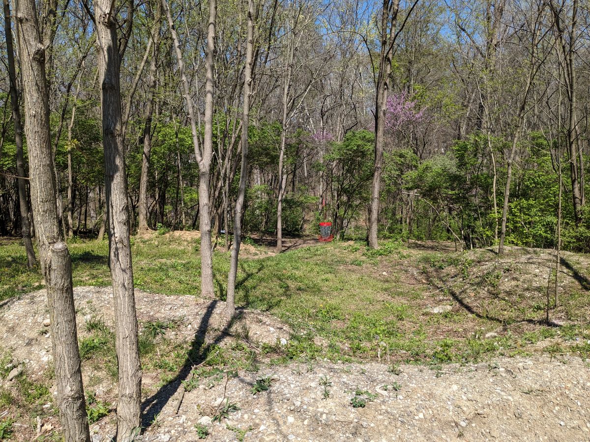 #15 from Fairway down to Basket