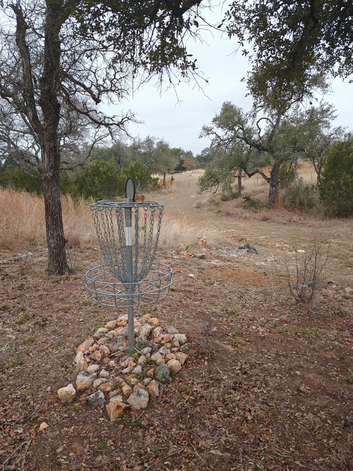 Hole 7 Basket looking back at teepad