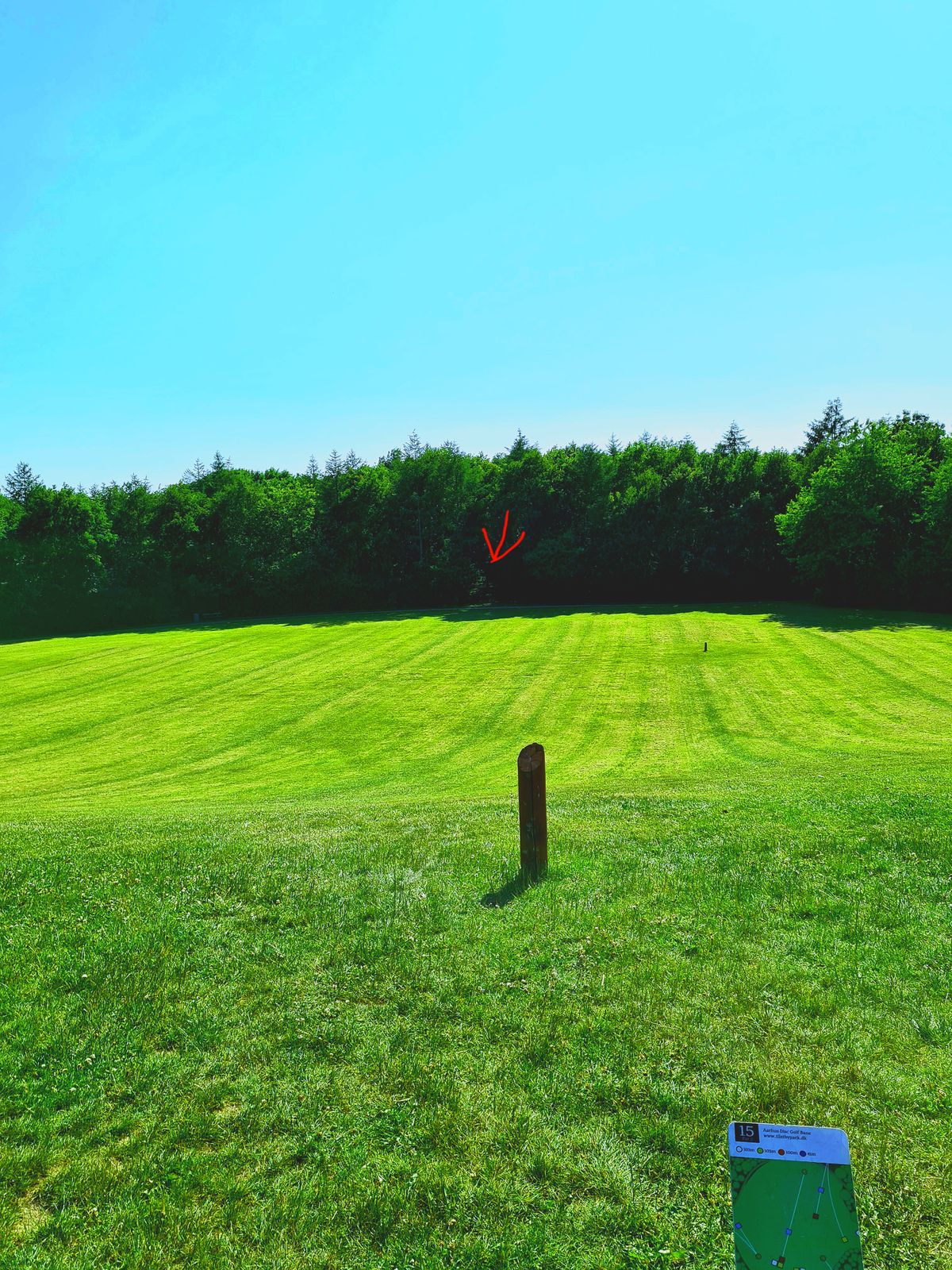 Hole 15, view from yellow tee. Basket hidden in the back.