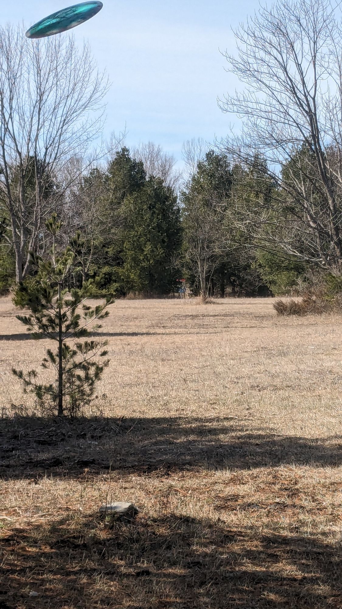 Hole 18-avoid branches of tree on right to make it to the basket