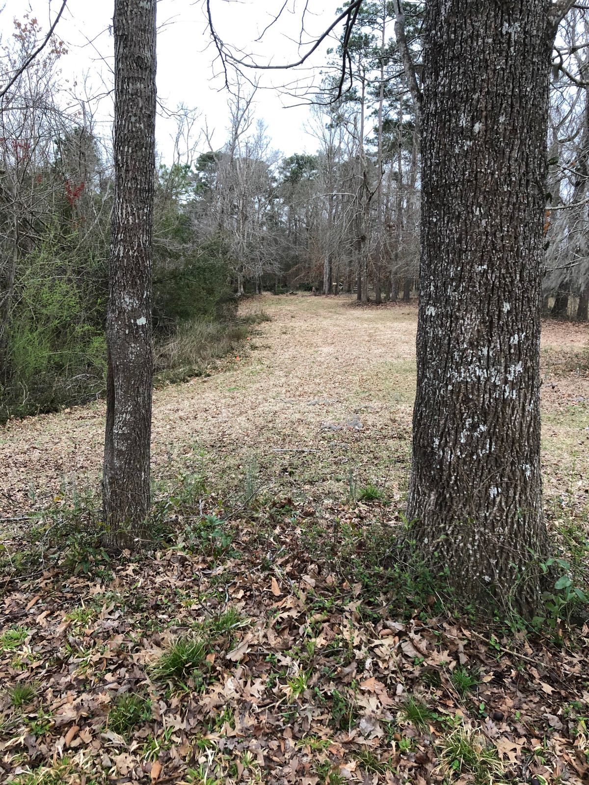 3 long (left tee)