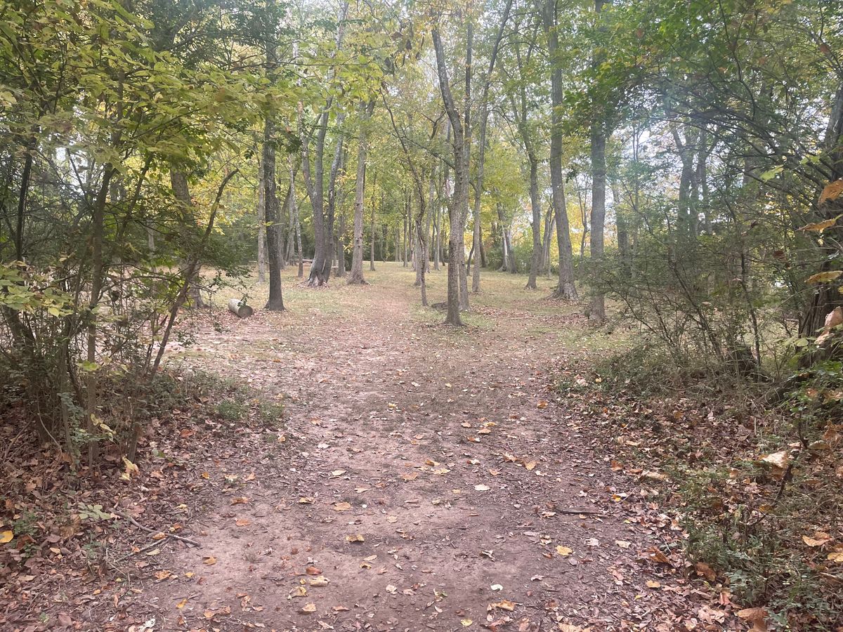Hole two- safety through the middle- or risk reward along the right and near the lake
