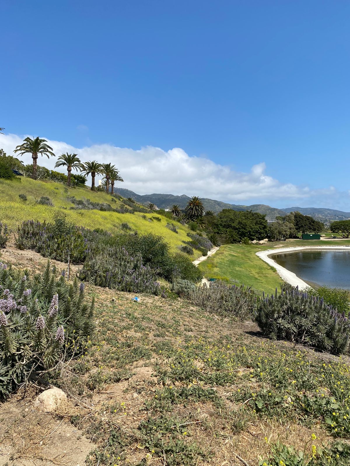Hole 1