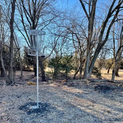 Hole 9 is a tall basket.