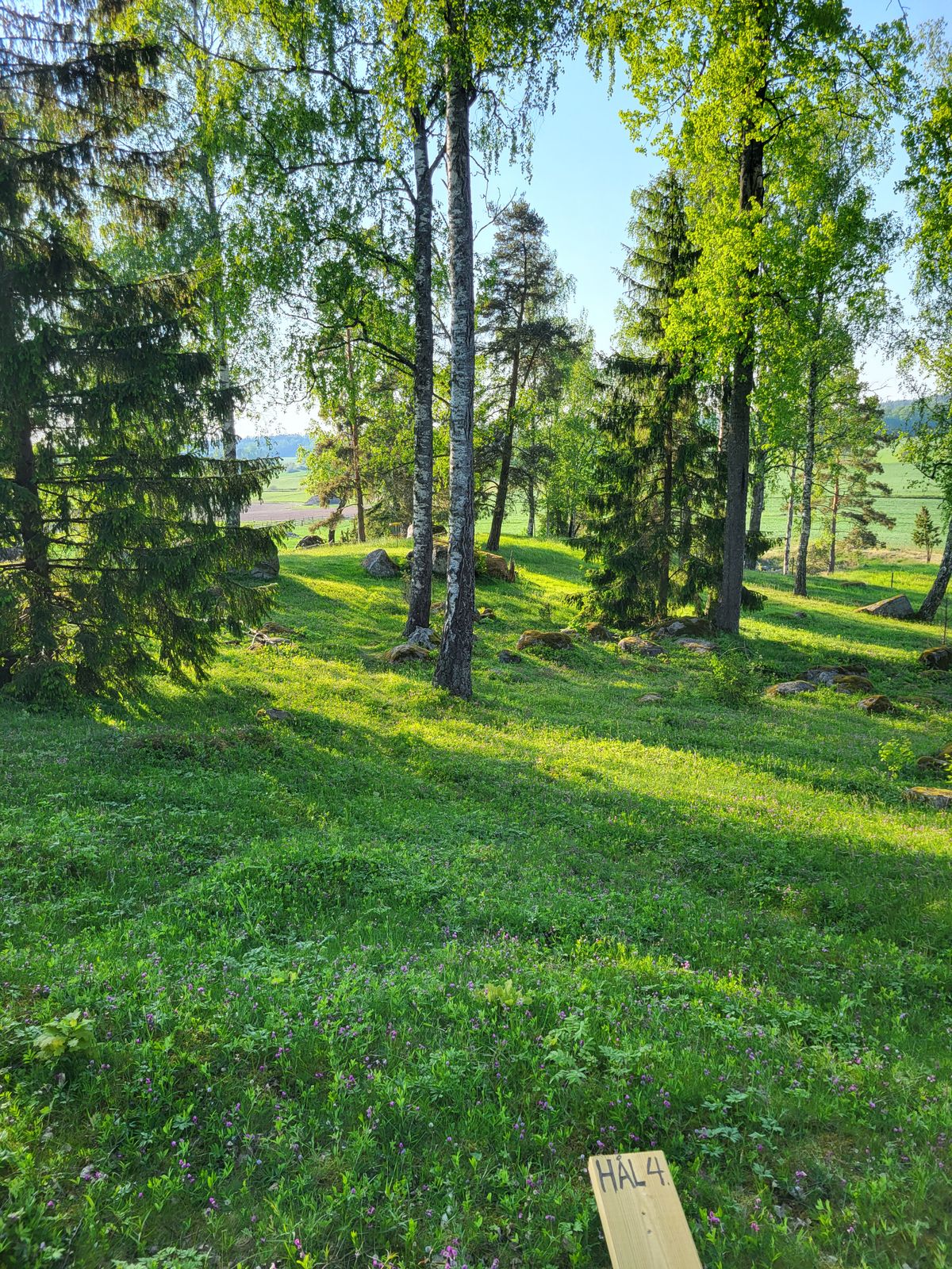 Hål 4