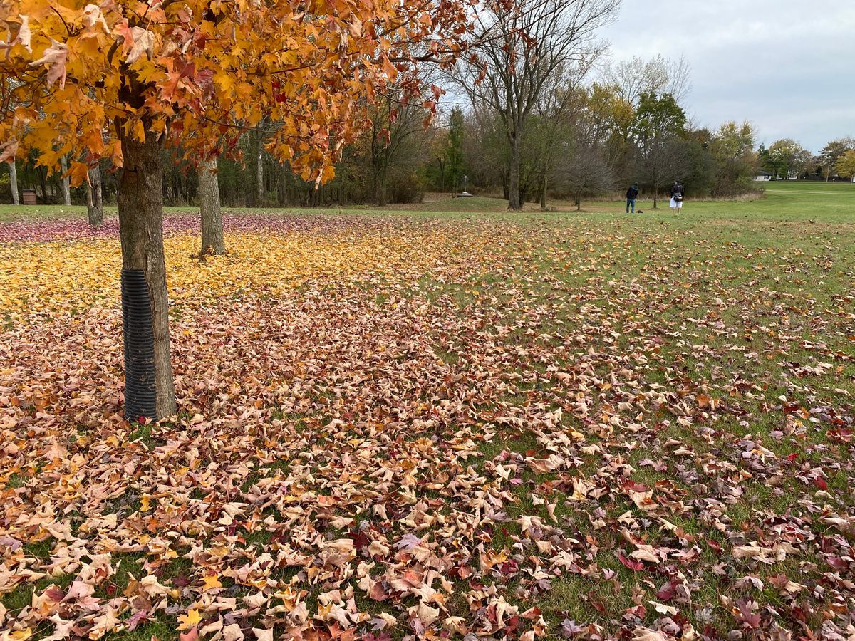 Hole 4 has some great colors