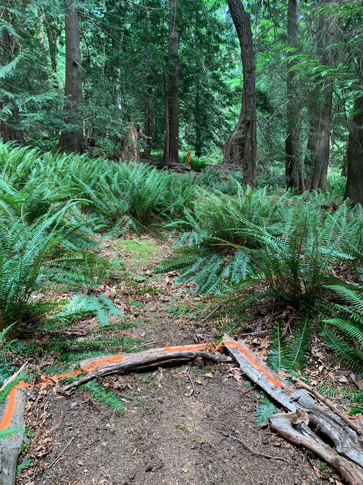 Hole 3 front