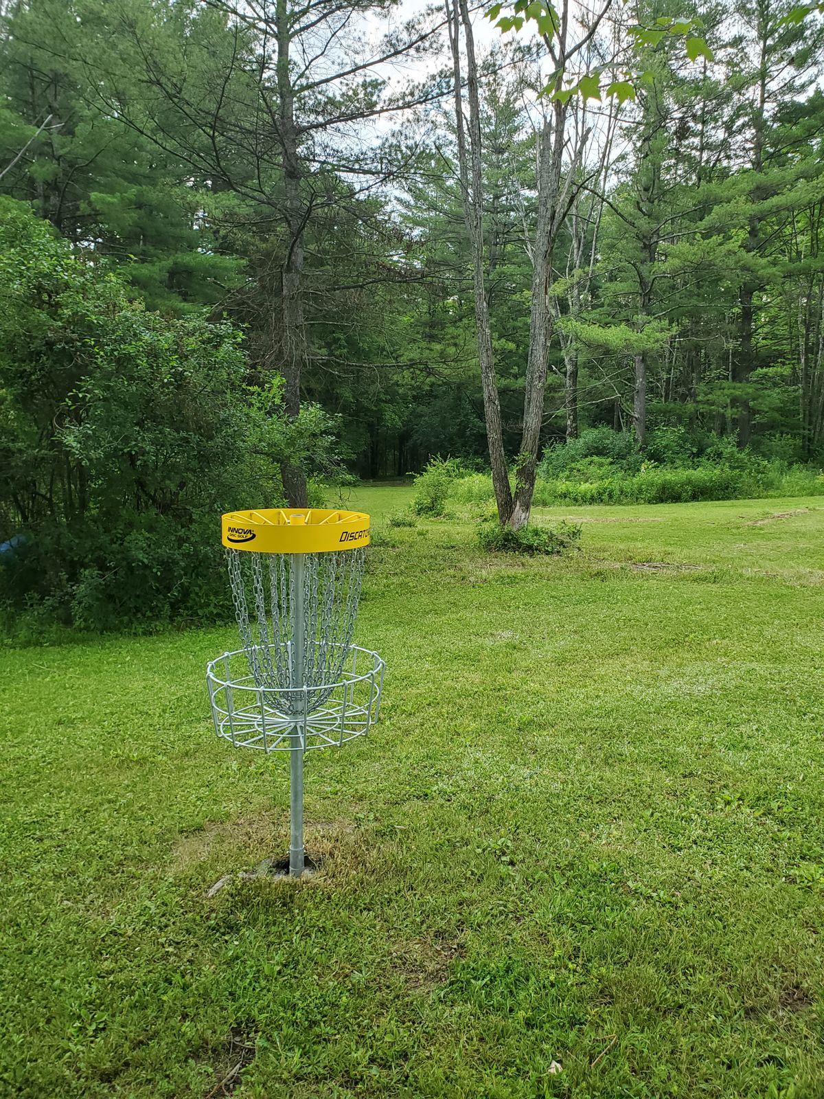 Hole 3 looking back at tees.