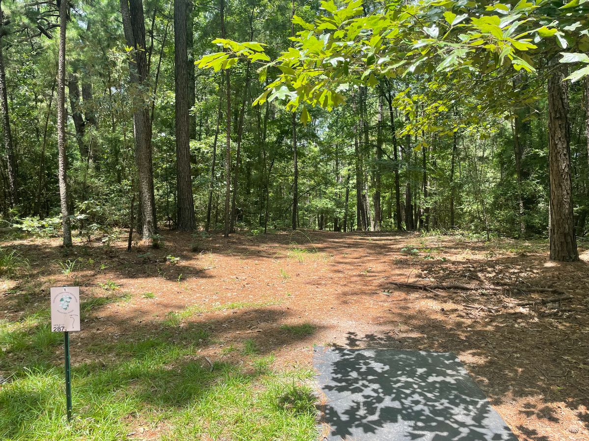 Challenging wooded course - Awesome Host