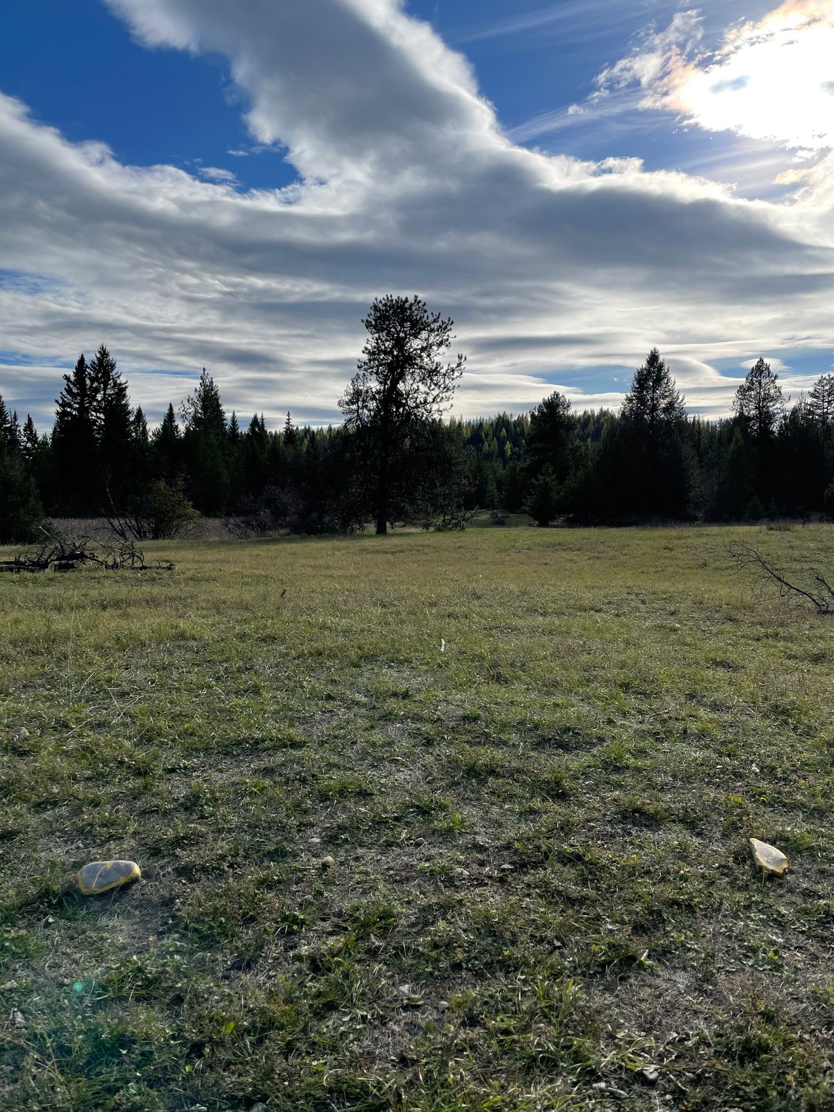 2nd Hole tee