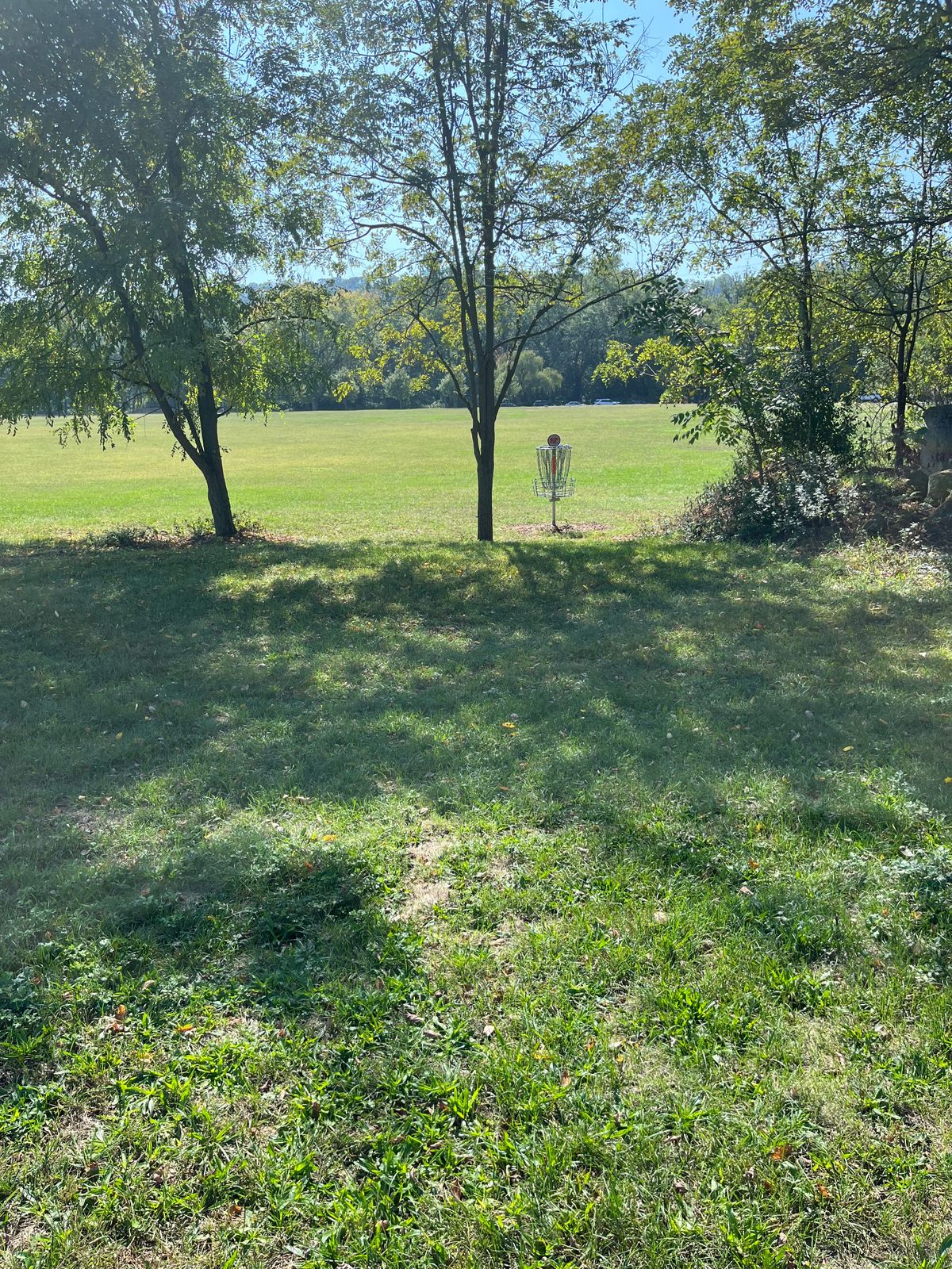 Hole 17 basket