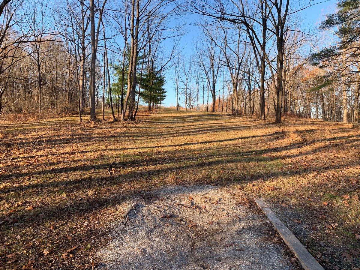 Hole 14 (short tee)