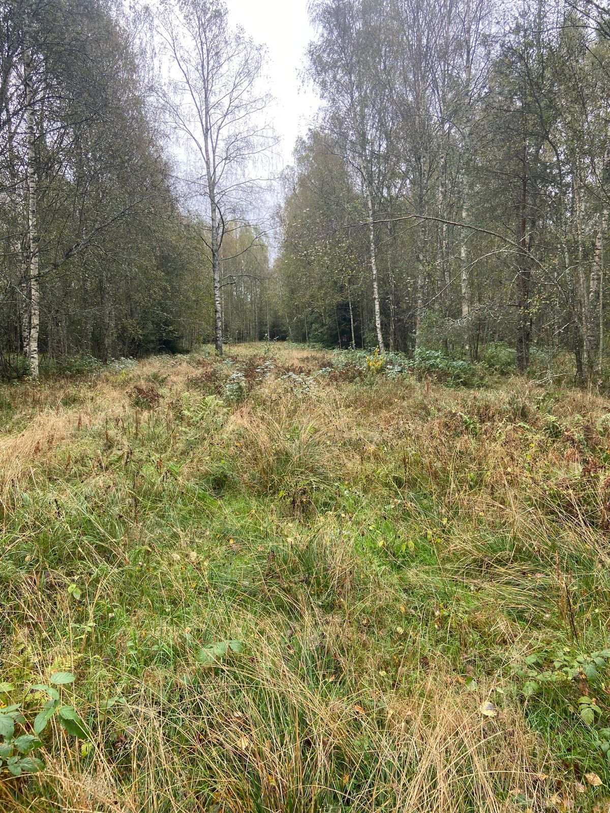 Course photo