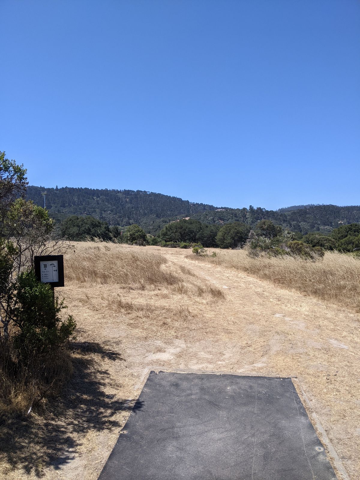 Tee pad. If you can't see it straight ahead, it's in the deep Oaks down the hill straight ahead.