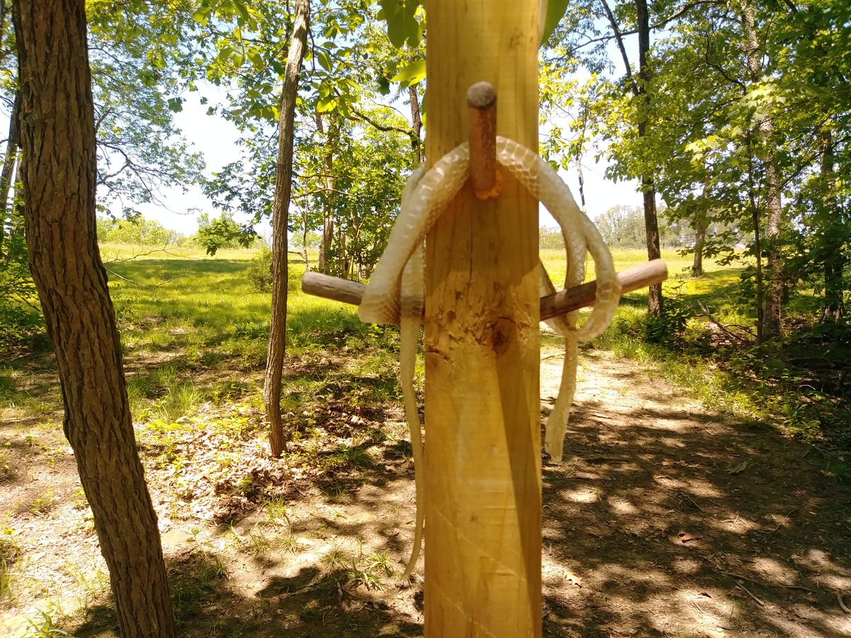 Hole 19