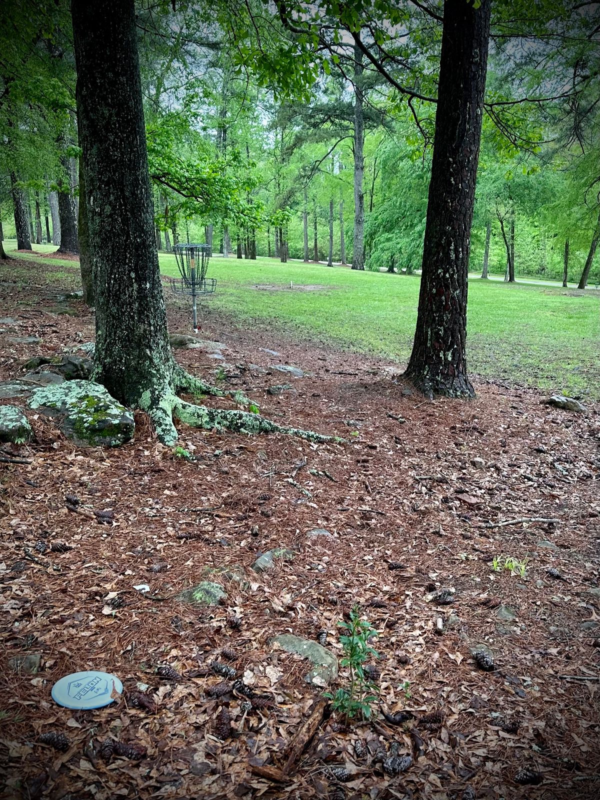 Hole 4’s basket