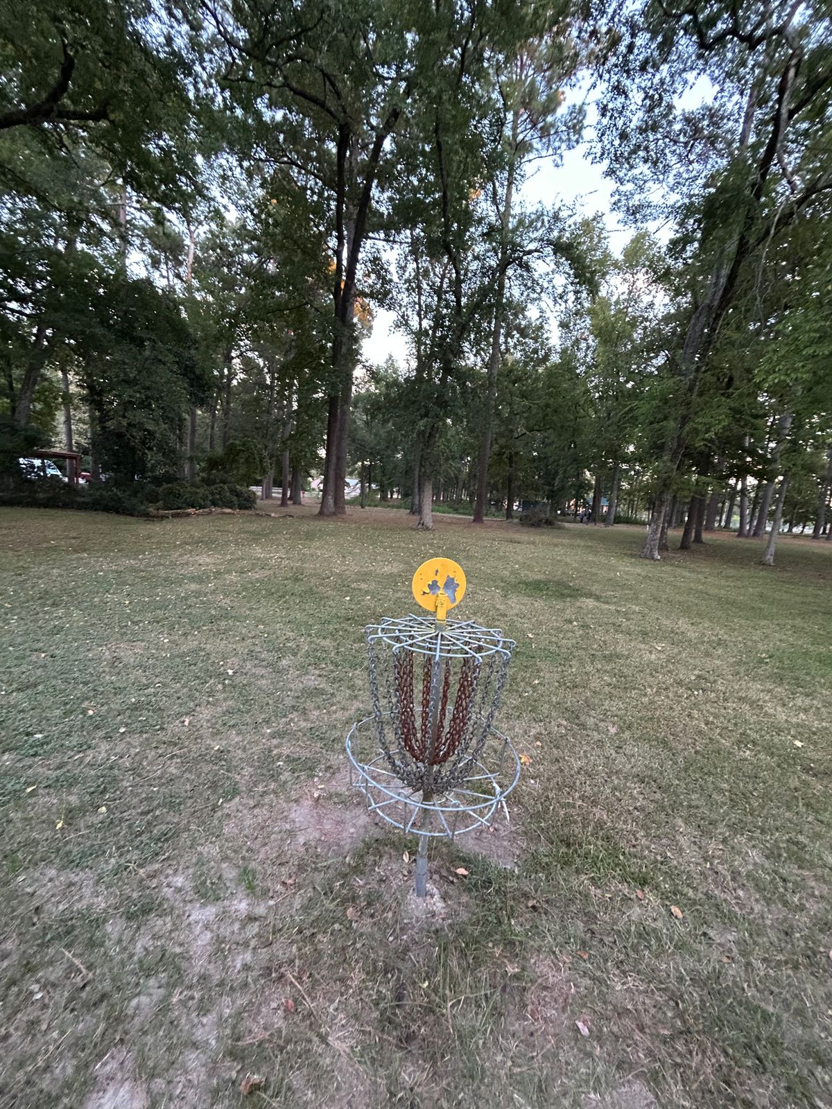 12/3