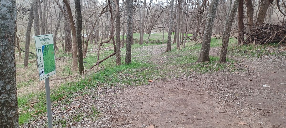Hole 17