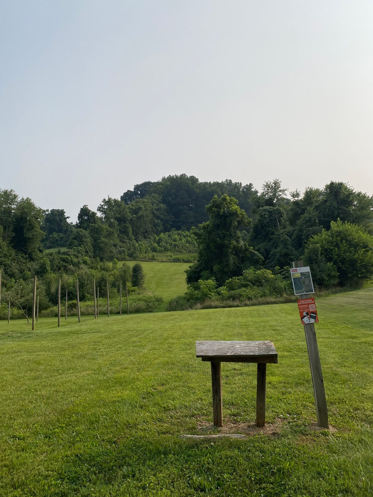 Hole 1 tee
