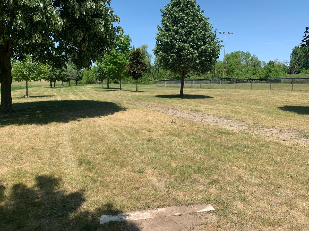 Hole 4