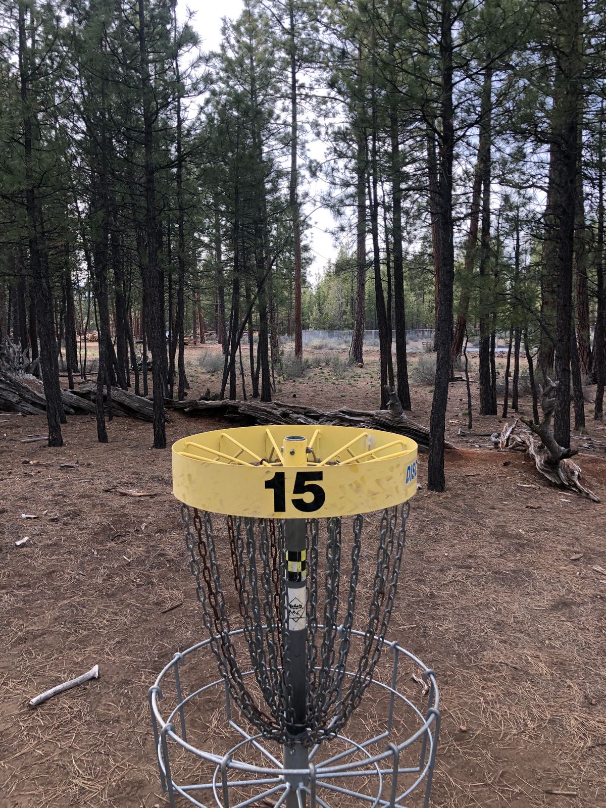 15 basket to tee