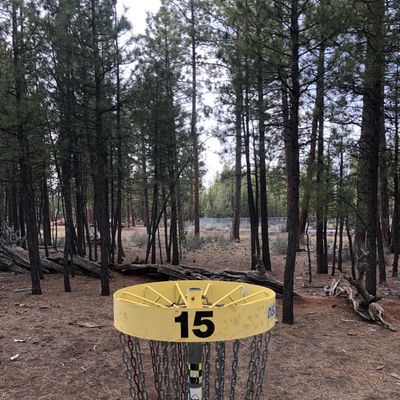 15 basket to tee